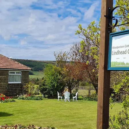 Апартаменты Woodpeckers