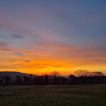 Апартаменты Woodpeckers *