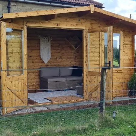 Woodpeckers * Скарборо