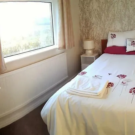 Woodpeckers Scarborough