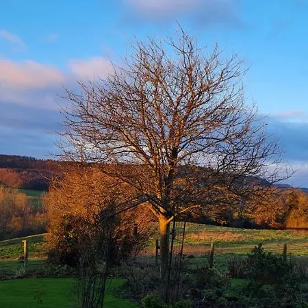 アパート Woodpeckers *